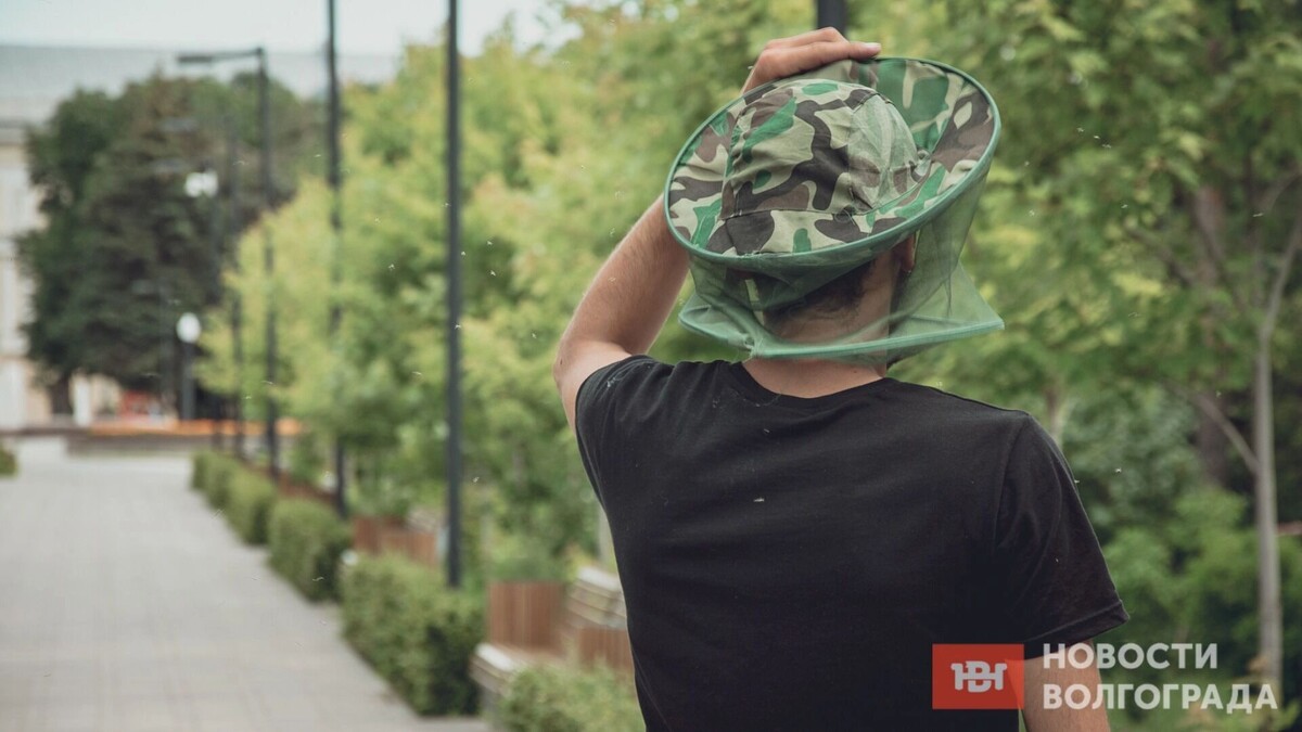     Источник: novostivolgograda.ru