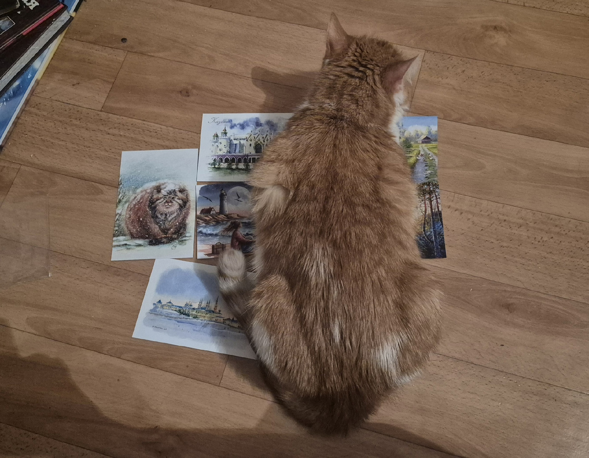 пытаюсь сфотографировать открытки, купленные во время прогулки с Леной