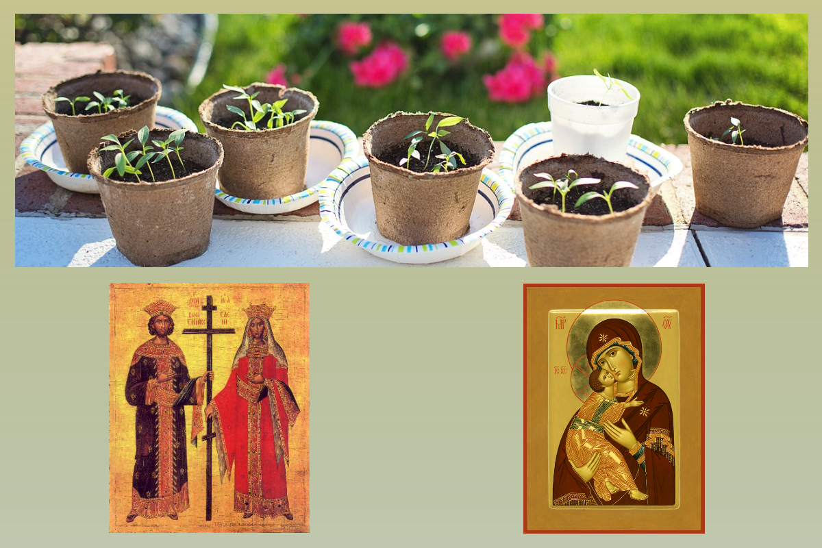 Икона Богородицы Владимирская, Икона Константин Великий, император, Равноап. царица Елена Константинопольская/azbuka.ru, Рассада/pixabay.com