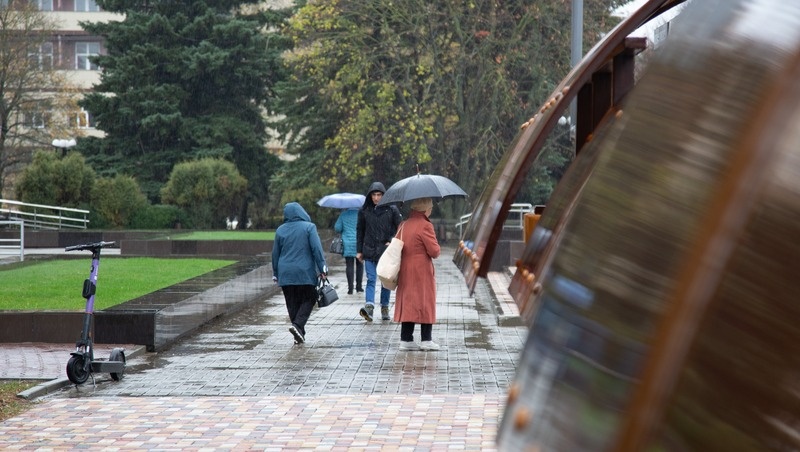      Фото: Валерия Алтухова / / ИА «Победа26»