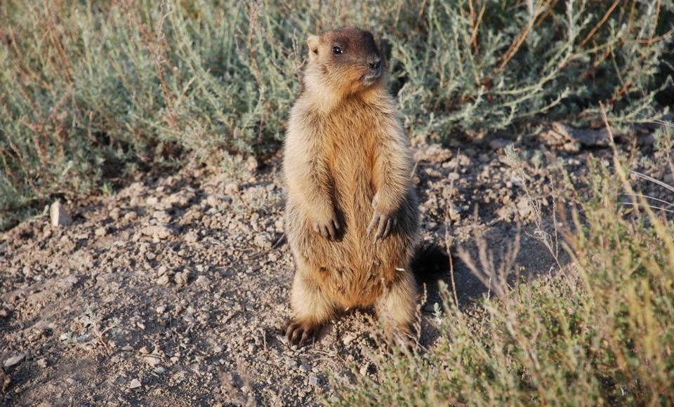    Фото: администрация Волгоградской области