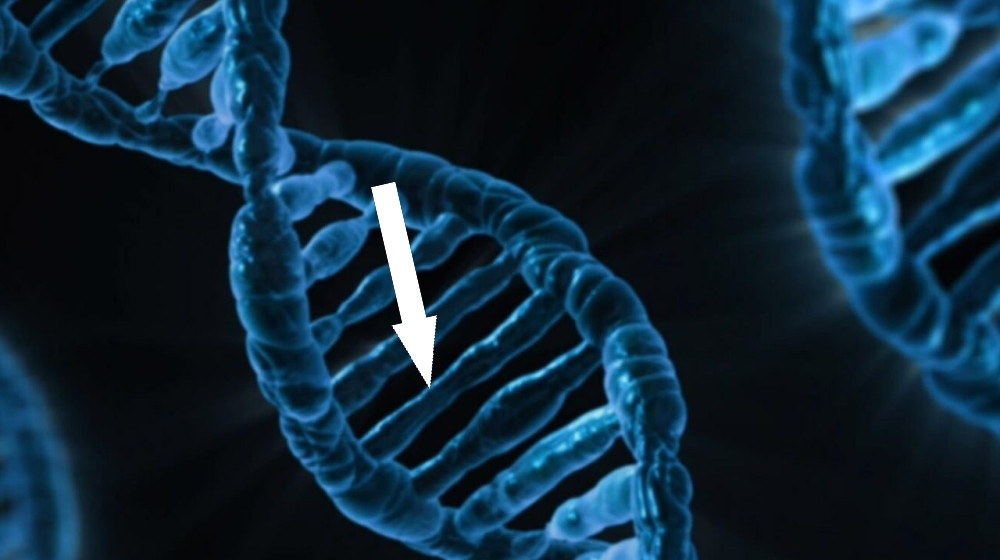    Тайна озера скелетов в Ростовской области ДНК мутантов и секреты НКВД