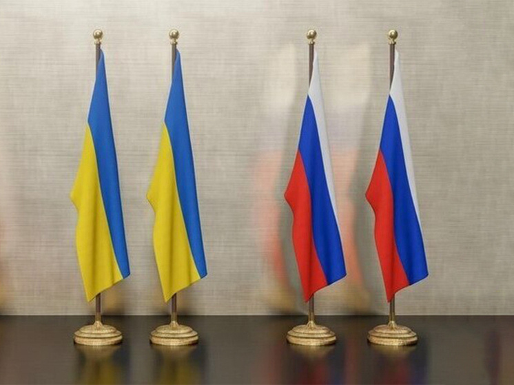 Фото: freepik.com
