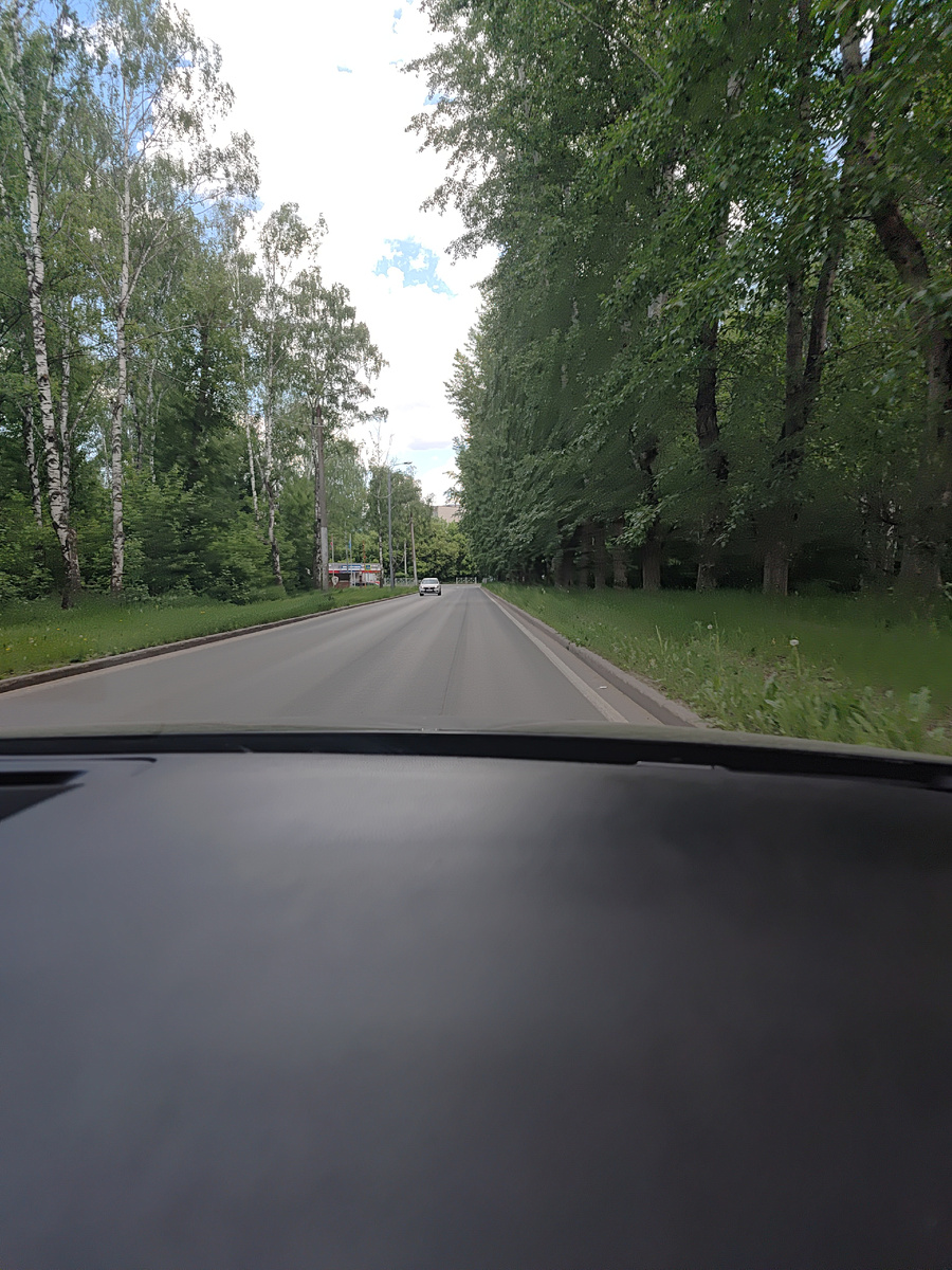 "Ох, лето красное! любил бы я тебя,
Когда б не зной, да пыль, да комары, да мухи." А.С.Пушкин