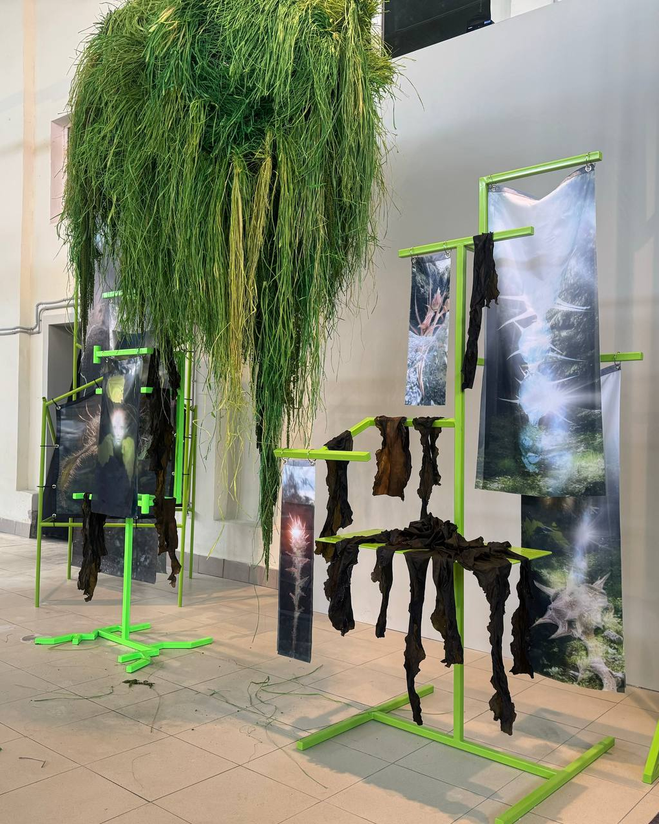 Проект «Кожа Земли»