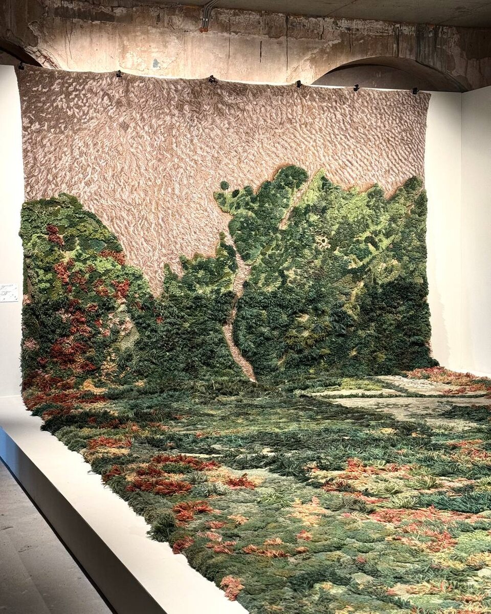 Проект «Кожа Земли»