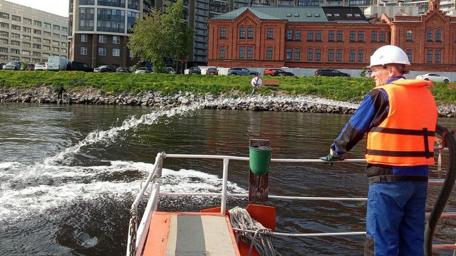    Фото: пресс-служба комитета по природопользованию, охране окружающей среды и обеспечению экологической безопасности