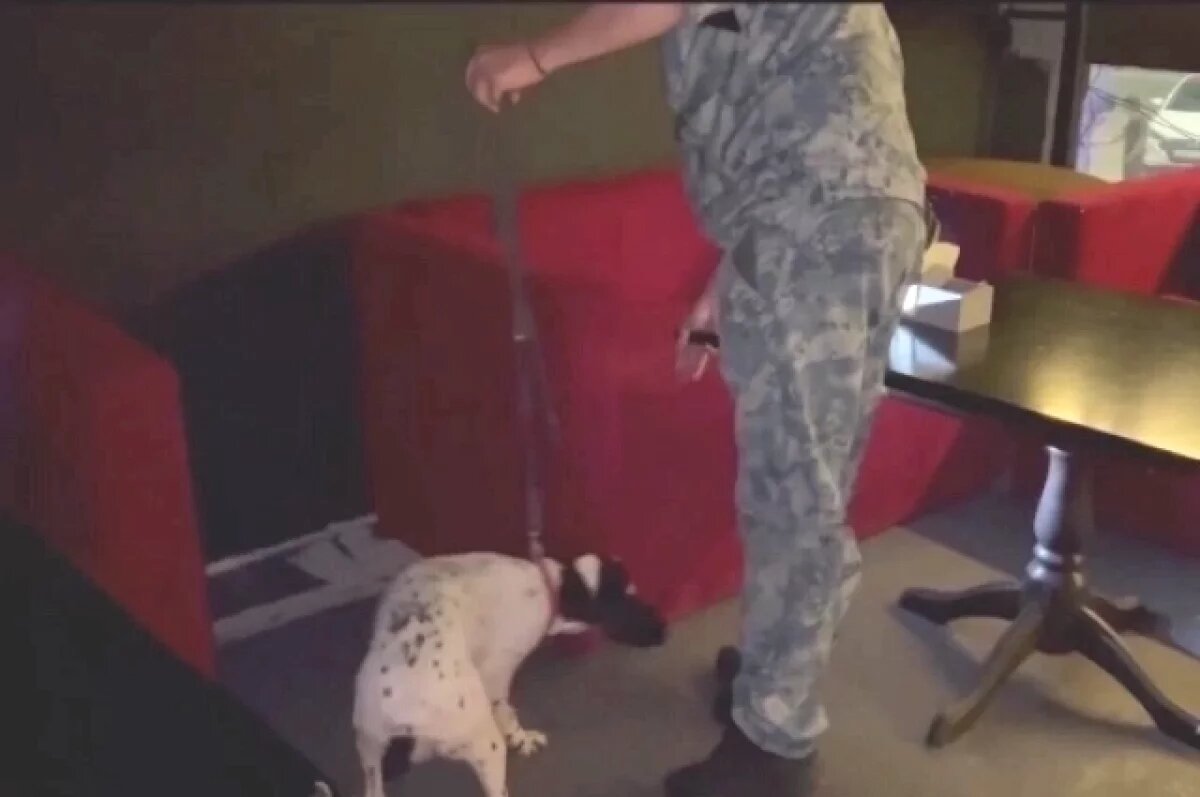    Полицейские нагрянули в ночные клубы Волгограда, есть задержанные – видео