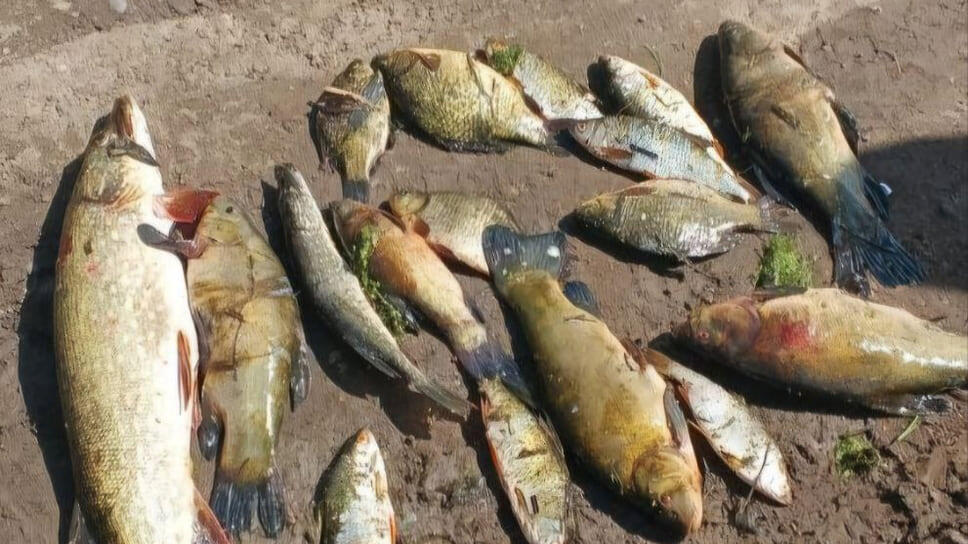 Фото: пресс-служба прокуратуры Удмуртии