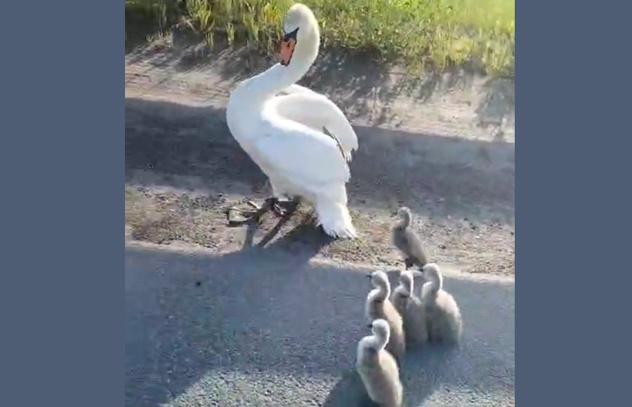    Фото: Минэкологии Башкортостана