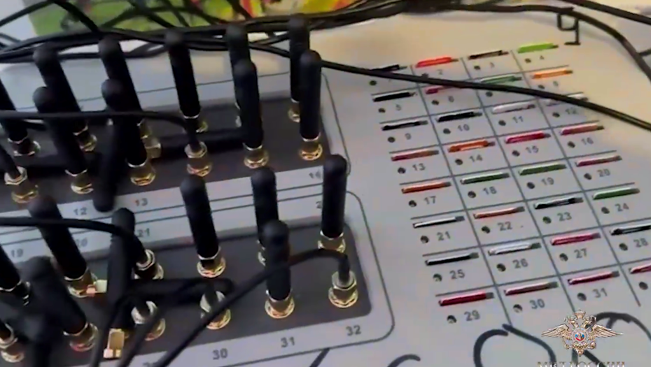    Автор фото: Скриншот видео t.me/IrinaVolk_MVD