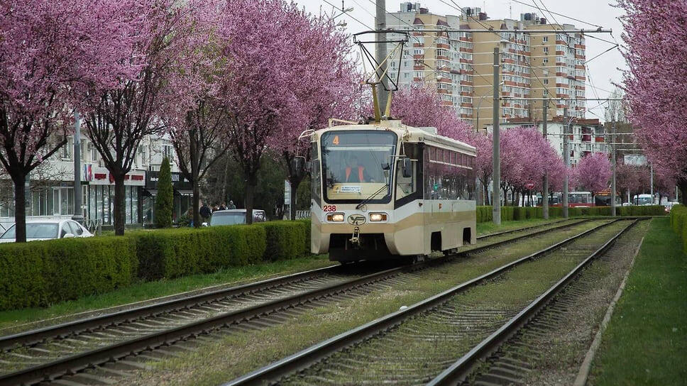 Фото: пресс-служба администрации Краснодара