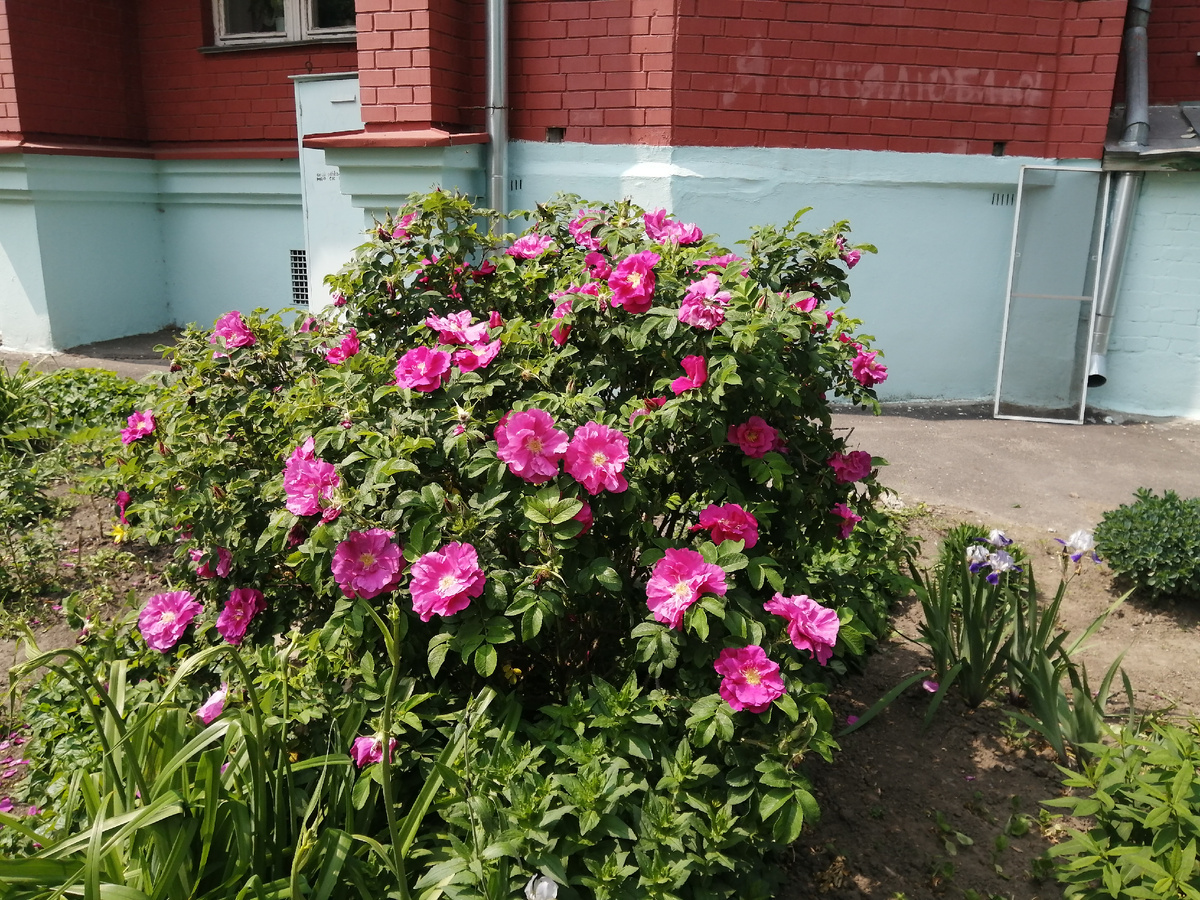 Фото автора.