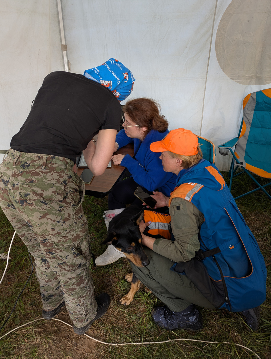 Получение поисковой задачи