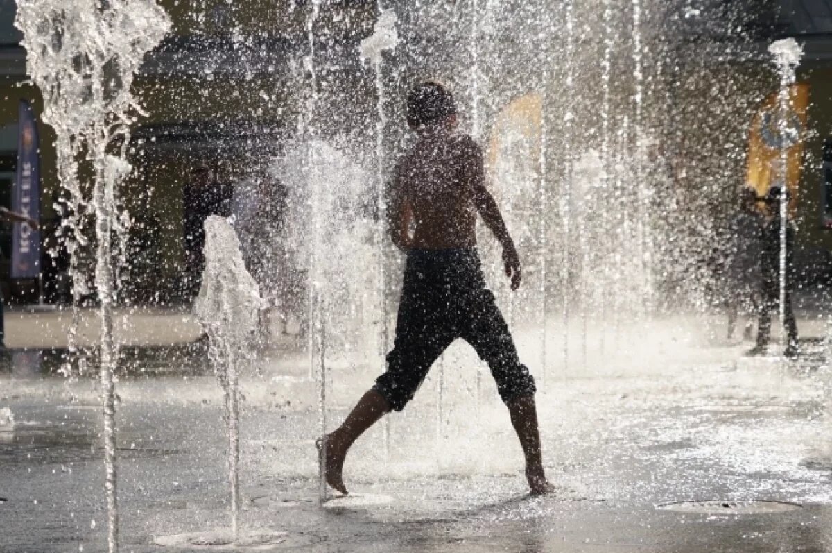    Жара в Новосибирске преодолеет отметку в 30 градусов