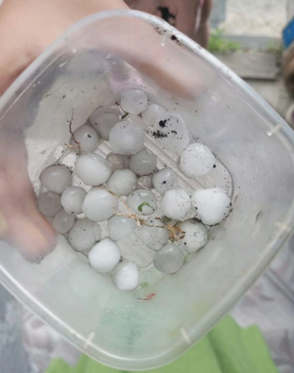    Град в Новосибирской области. Источник: "Красноозерская новь"