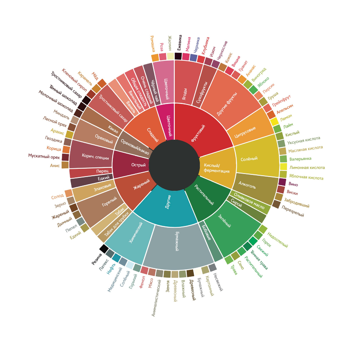 Колесо вкусов кофе
