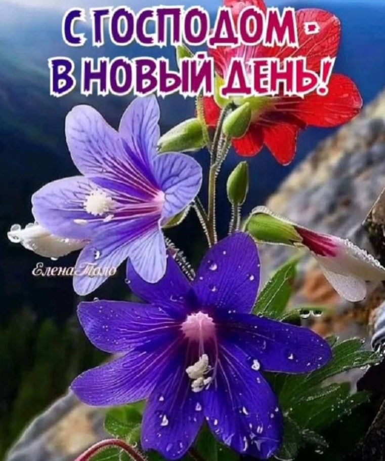 Фото из свободного доступа интернета