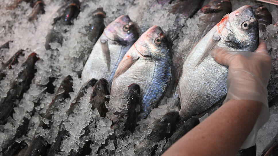 Фото: Антон Новодерёжкин / Коммерсантъ