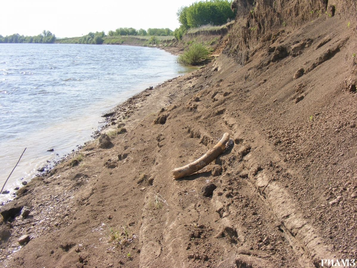 Место обнаружения