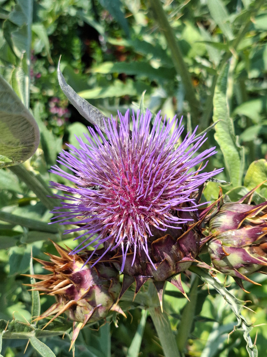 Фото Никитина Дениса