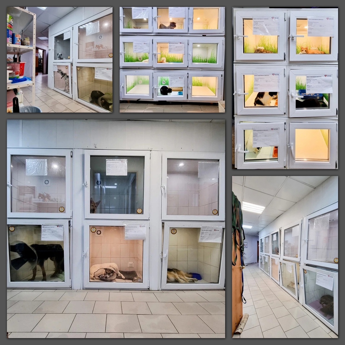 Полные стационары вечно, 24/7 борьба с заразой.