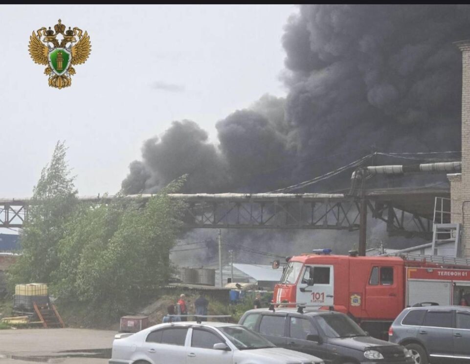     прокуратура Ленинградской области / Telegram