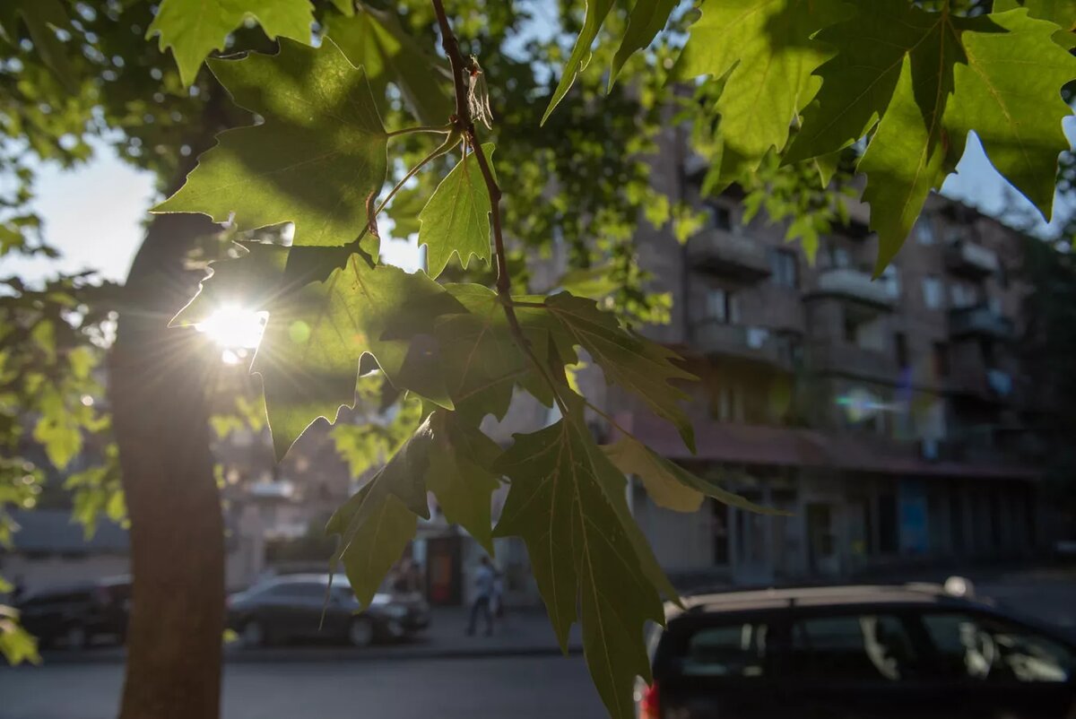 © Sputnik / Andranik Ghazaryan