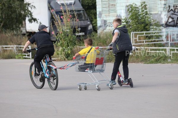 Дети сами детей сбивают: как защитить юных участников дорожного движения от травм  📷
