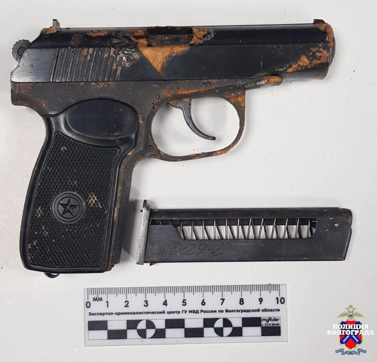     Источник: ГУ МВД по Волгоградской области