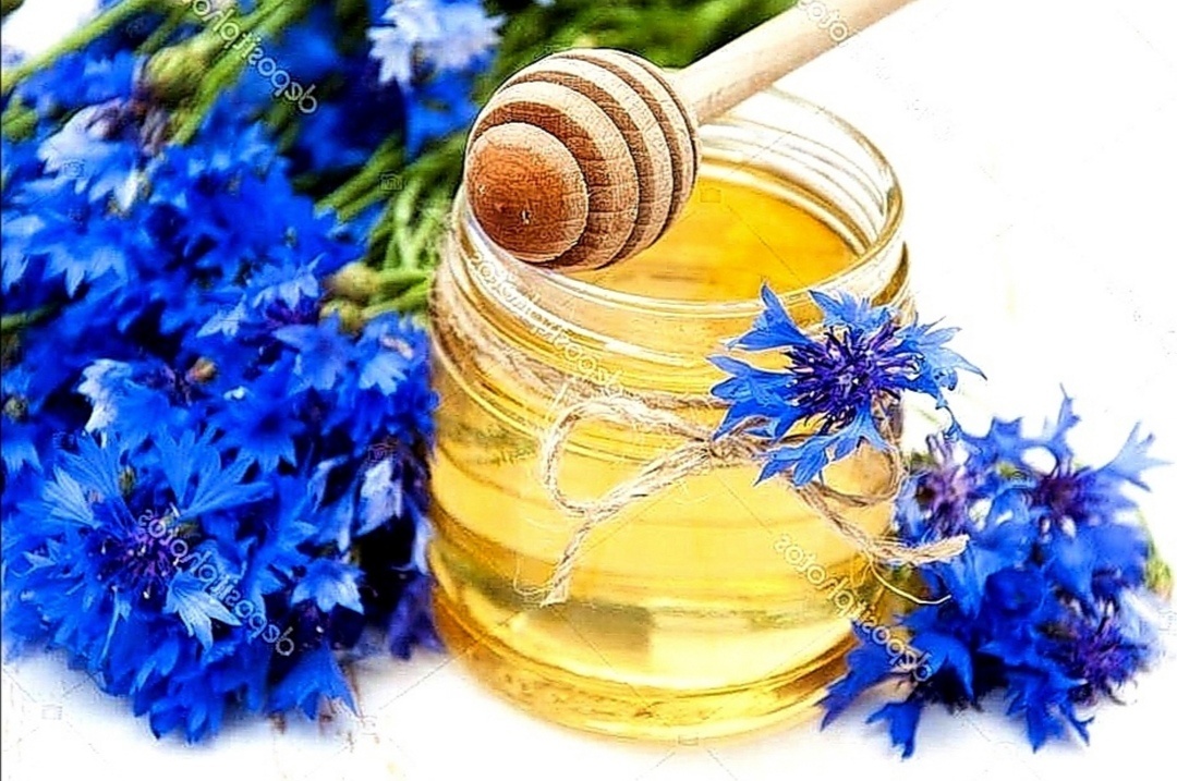 Васильков мёд 