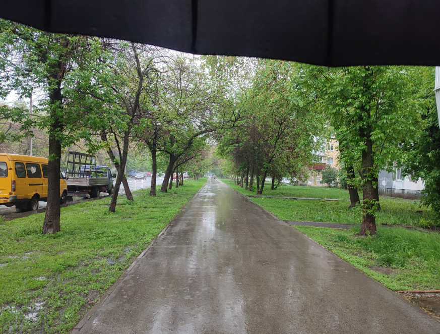    Екатерина Елисеева