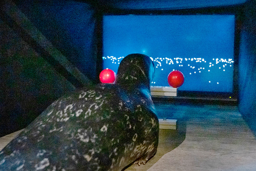 Фото: University Hospital of Rostock