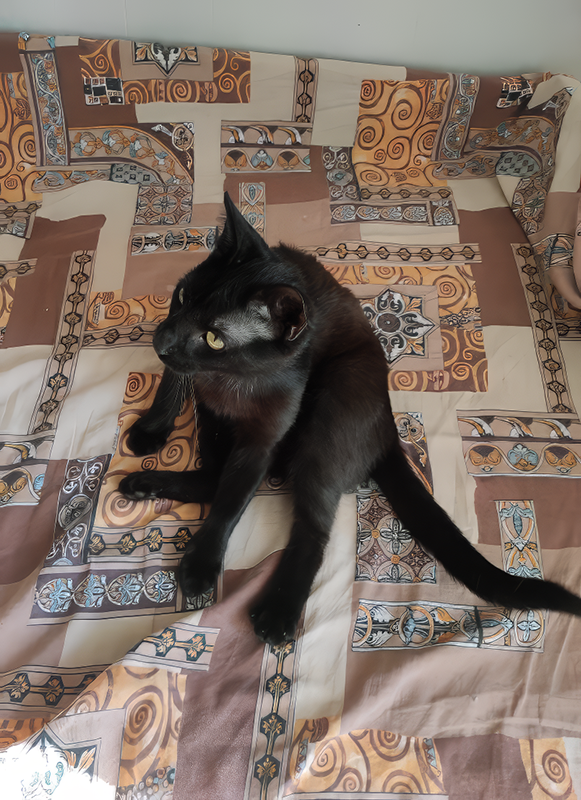 Уголек решил перекраситься в "горький шоколад"