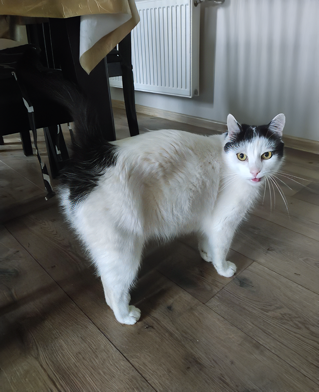 Белый потускнел с годами, но все равно в прекрасной форме