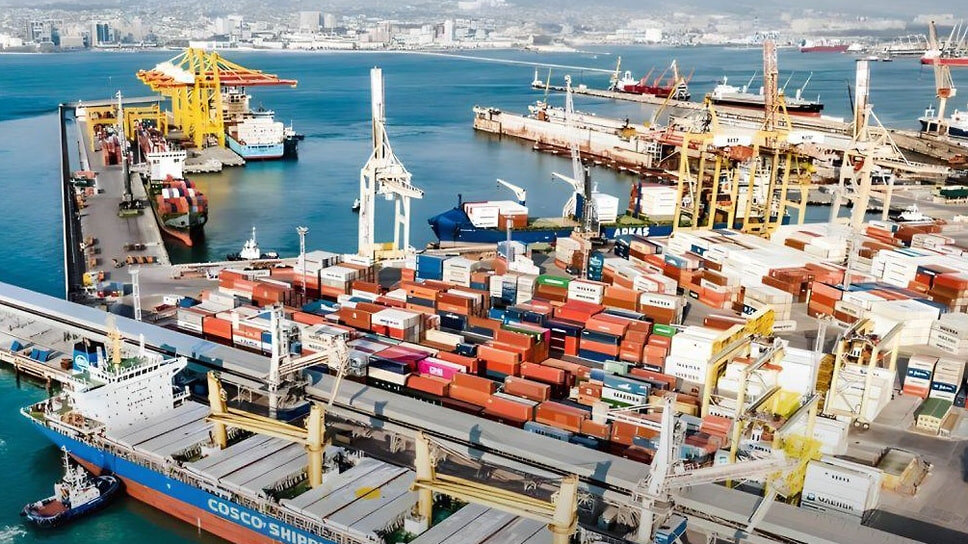 Фото: Telegram-канал главы Росприроднадзора Светланы Радионовой