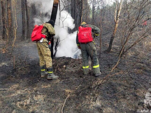    Фото: телеграм-канал "МЧС Забайкальского края"