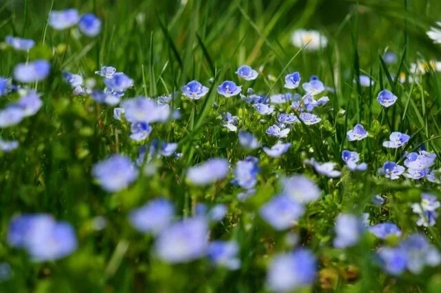    Какая погода ждёт воронежцев в июне?