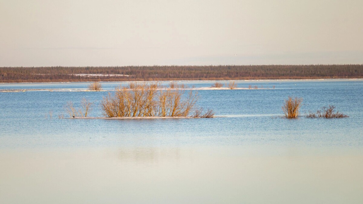    Фото: Федор Воронов / «Ямал-Медиа»