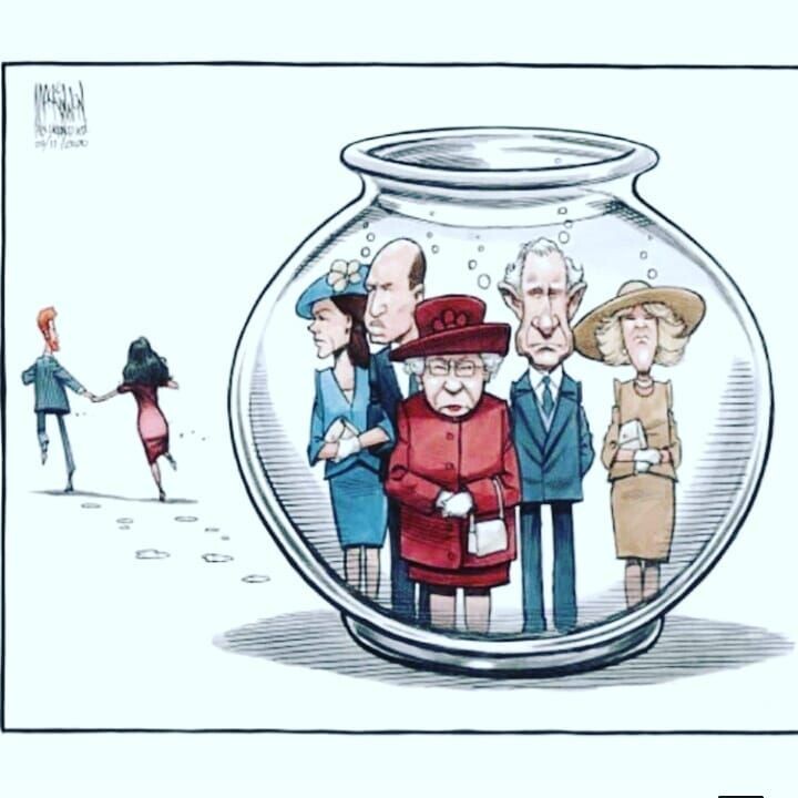 фото из яндекса