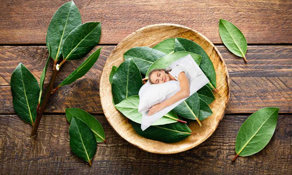 Dormirse en los laureles (Почивать на лаврах). 