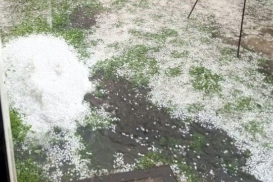    Фото: "Краснозерская новь"