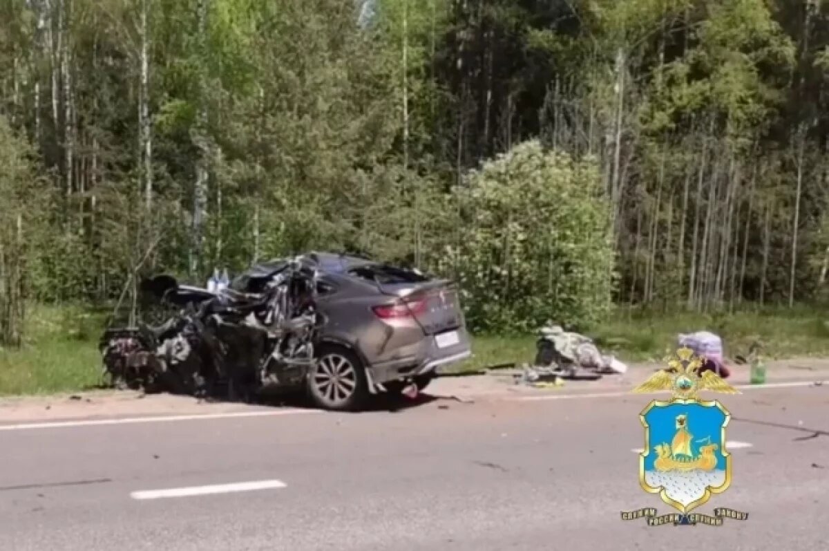    Тётя с племянником из Пермского края погибли в ДТП с фурой под Костромой