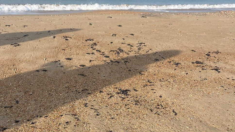 Фото: Оперативный штаб Краснодарского края