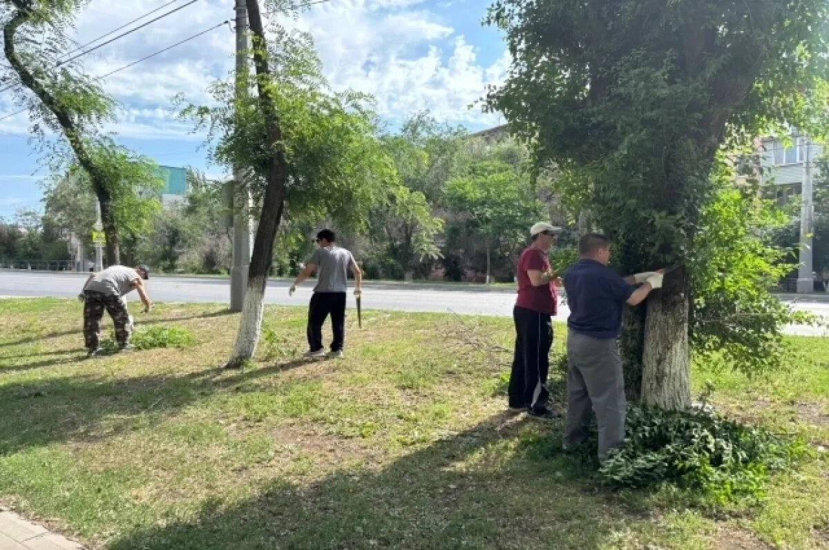    В Астрахани состоялся традиционный День чистоты