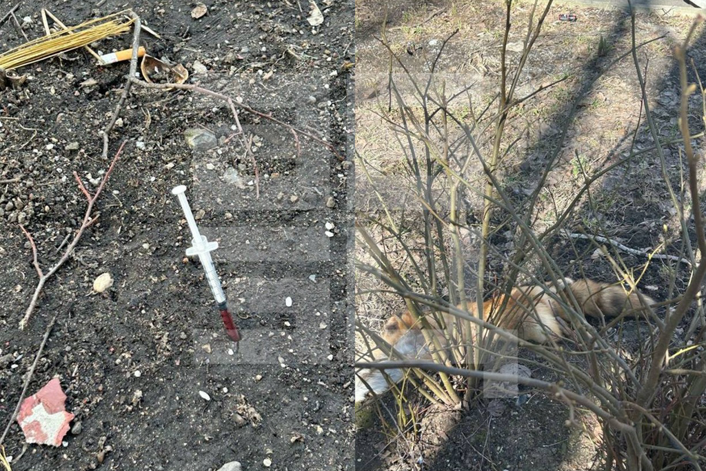    Фото © Telegram / Абзац