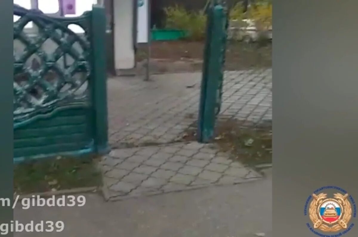    Жительнице Новосибирска подбросили свиную голову под калитку