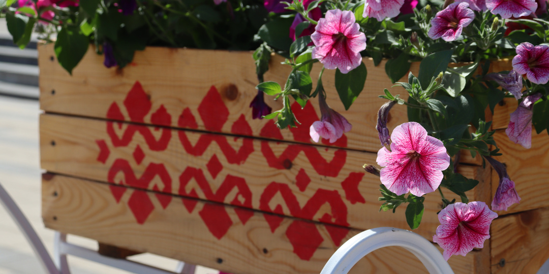 5 Секретов Пышной Петунии: Как Добиться Феерии Цветения!