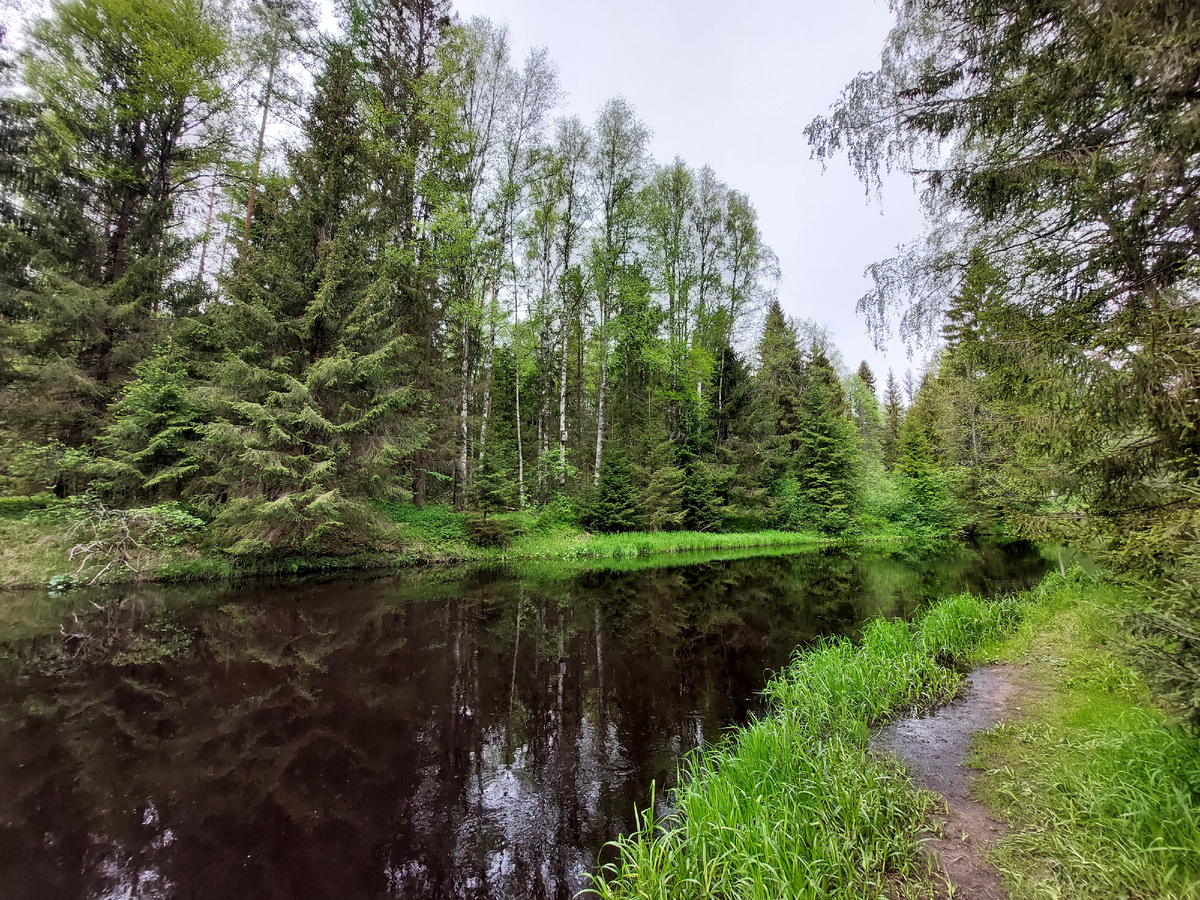 Река Рощинка. Фото моё