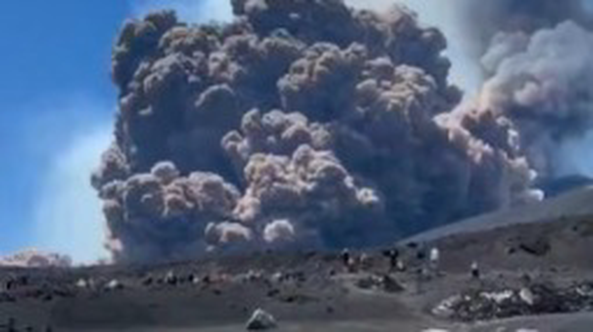    Фото: Агентство «Москва» / Telegram / скриншот